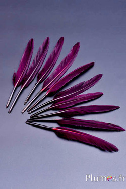 Oie Lame - 10-15 cm - bordeaux